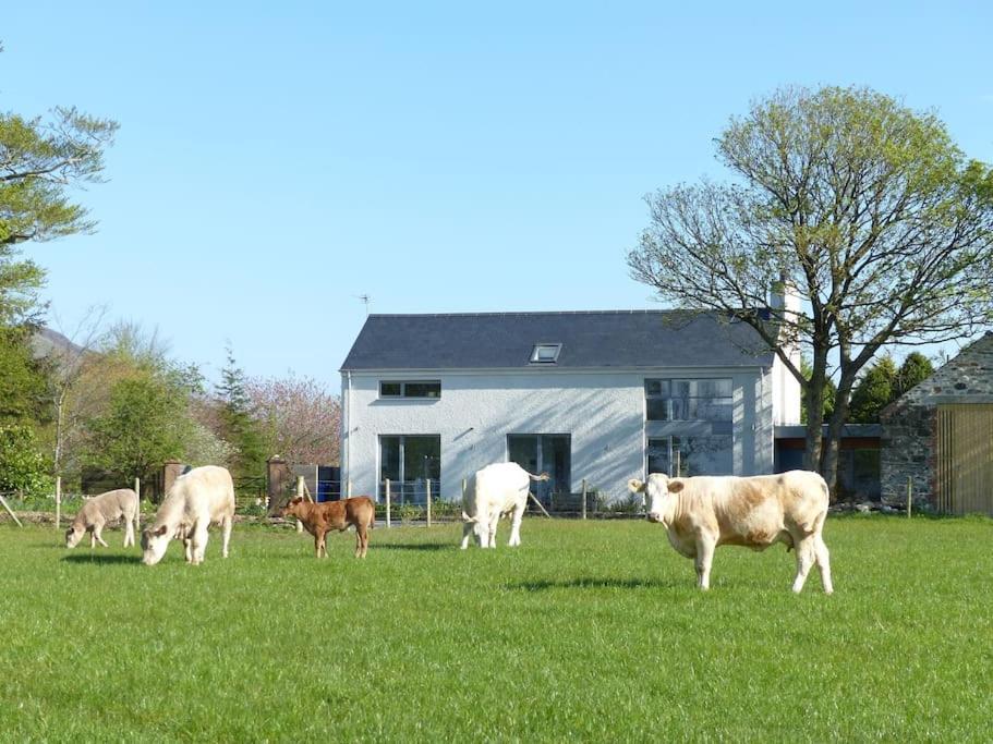 Barn Lane @ Drumagosker Rural Retreats Ardmore Eksteriør billede
